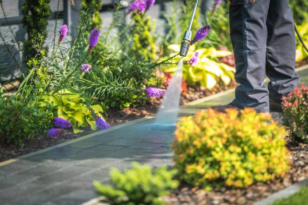 Reliable Denver City, TX Pressure Washing Services Solutions